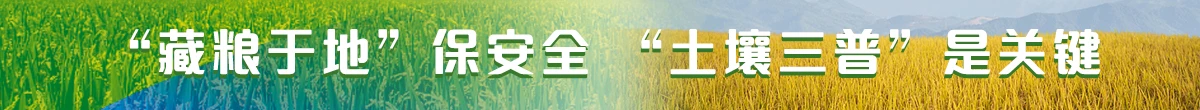 藏糧于地保安全 土壤三普是關鍵